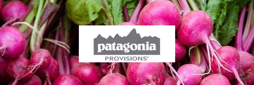 GOODDYAS STANDUP × patagonia